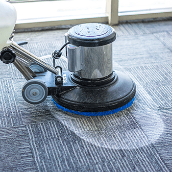 Carpet Cleaning